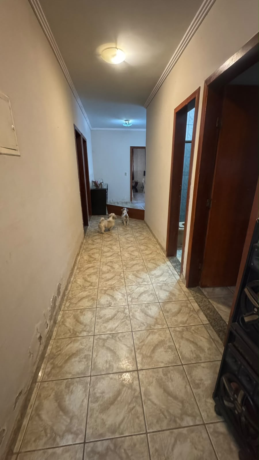 Casa moderna - Foto 10
